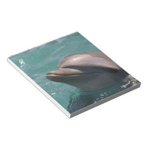 Cute Dolphin Notepad