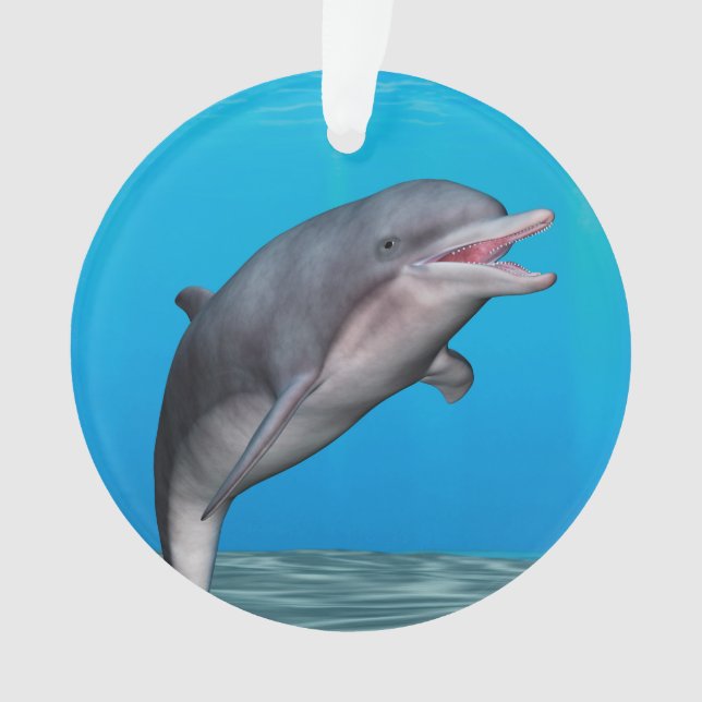 Cute Dolphin Ornament (Front)