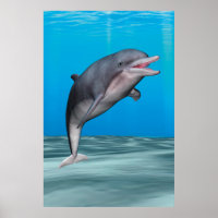 Cute Dolphin