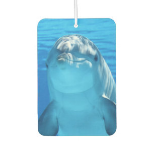 Cute Dolphin Smiling Ocean Dolphin Lover Car Air Freshener