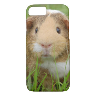 Cute Domestic Guinea Pig iPhone 8/7 Case