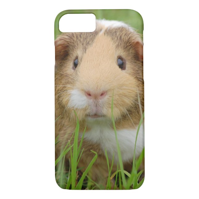 Cute Domestic Guinea Pig Case-Mate iPhone Case (Back)