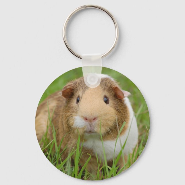 Cute Domestic Guinea Pig Key Ring (Front)