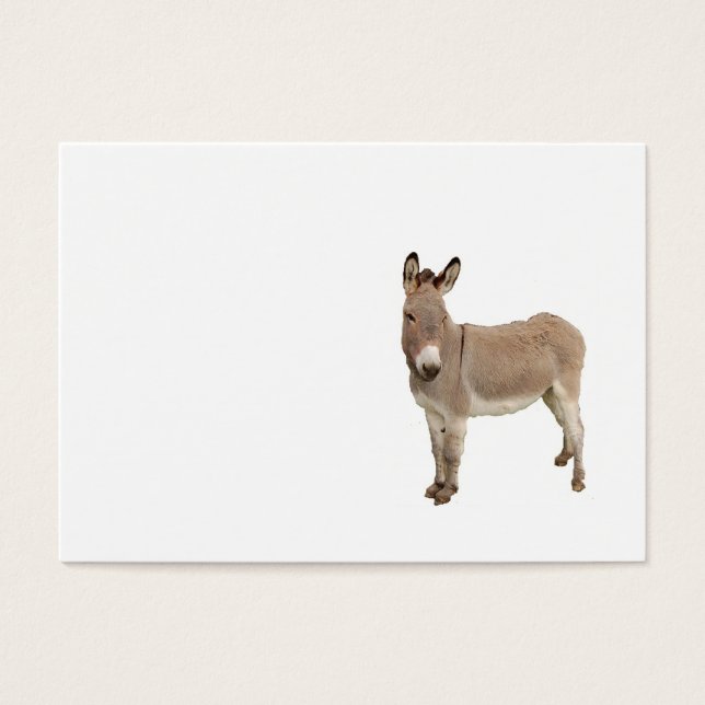 Cute Donkey Burro Photograph (Front)