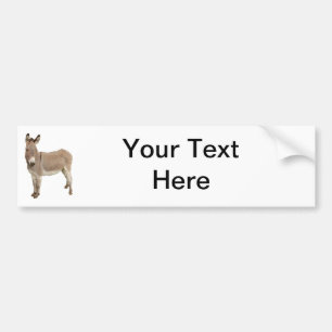 Cute Donkey Burro Photograph Bumper Sticker