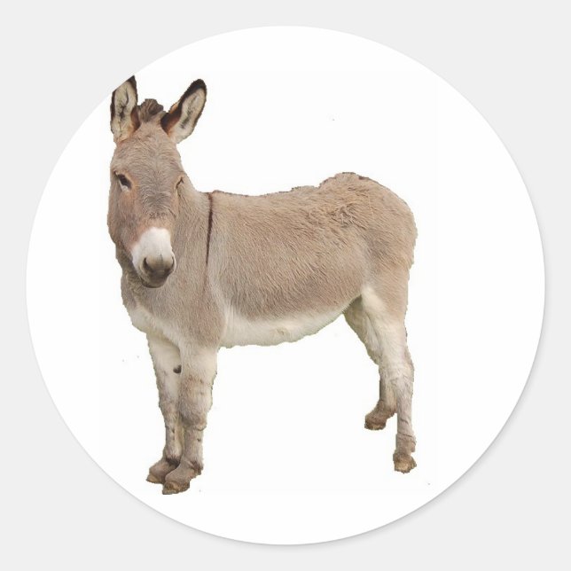 Cute Donkey Burro Photograph Classic Round Sticker (Front)