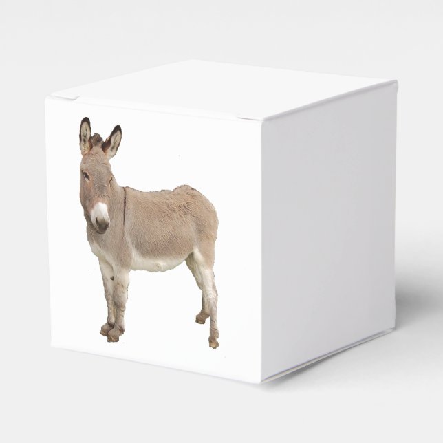 Cute Donkey Burro Photograph Favour Box (Front Side)