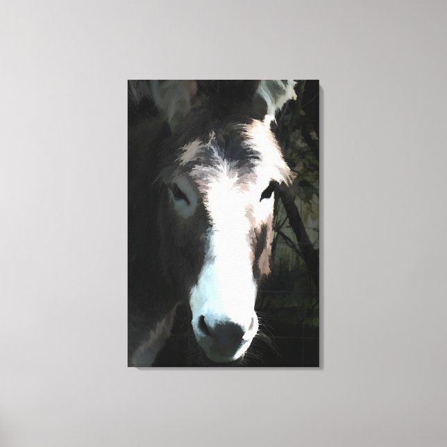 CUTE DONKEY CANVAS PRINT (Front)