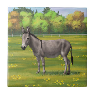 Cute Donkey Grey Burro In Pasture Tile