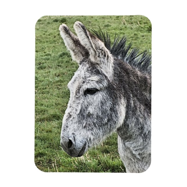 CUTE DONKEY   MAGNET (Vertical)
