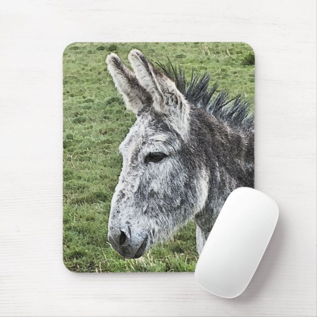 CUTE DONKEY    MOUSE MAT (With Mouse)