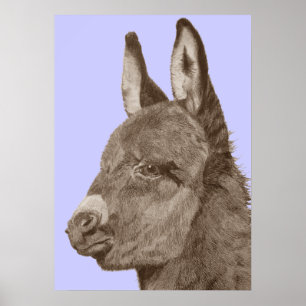 Cute donkey original life like drawing art poster