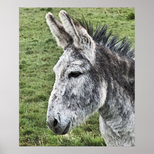 CUTE DONKEY  POSTER