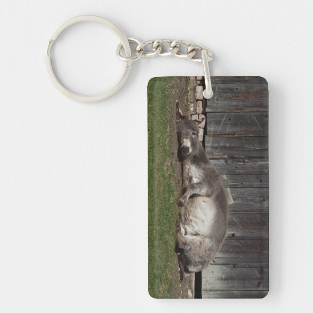 Cute Donkey Resting After A Sand Bath Key Ring (Front)