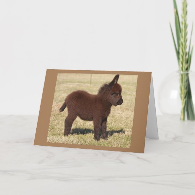 CUTE DONKEY SAYS **HAPPY BIRTHDAY TO YOU** CARD (Front)