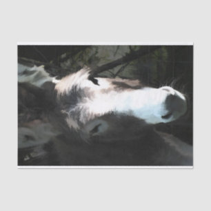 CUTE DONKEY TISSUE PAPER