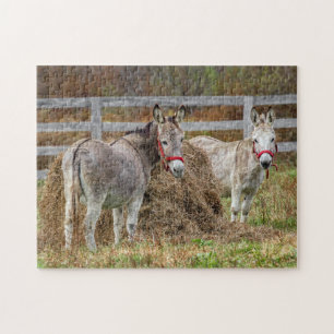 Cute Donkeys Jigsaw Puzzle
