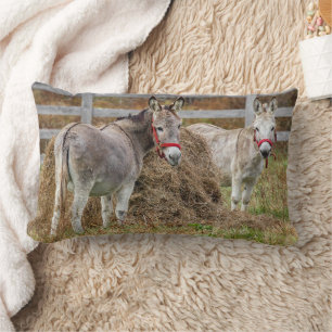 Cute Donkeys Lumbar Cushion
