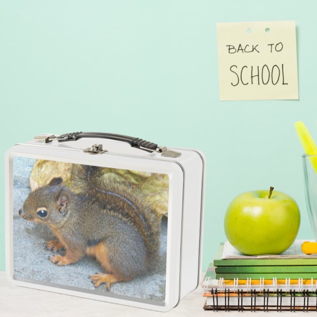 Cute Douglas Squirrel Nature Photo Metal Lunch Box (In Situ School)