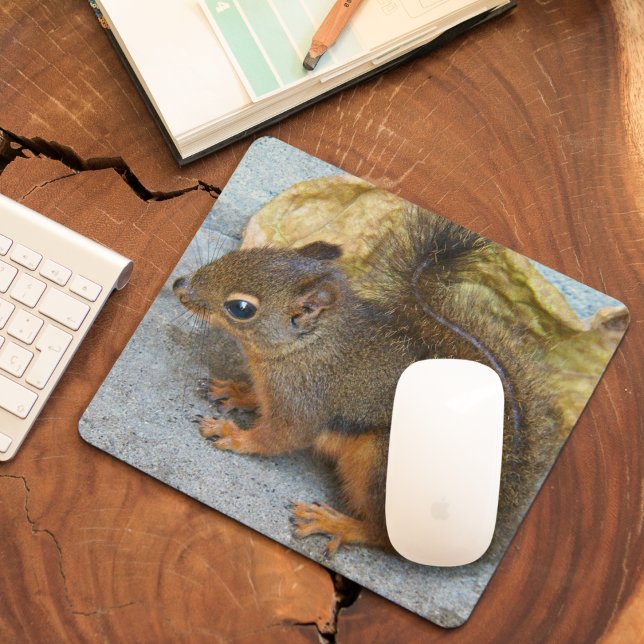 Cute Douglas Squirrel Nature Photo Mouse Mat (In Situ)