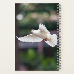 Cute Dove White Pigeon Love & Peace Symbol Bird  Notebook