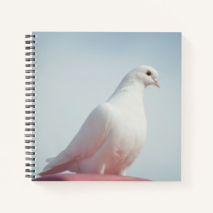 Cute Dove White Pigeon Love & Peace Symbol Bird Notebook