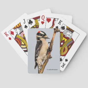 Cute Downy Woodpecker on Fruit Tree Playing Cards