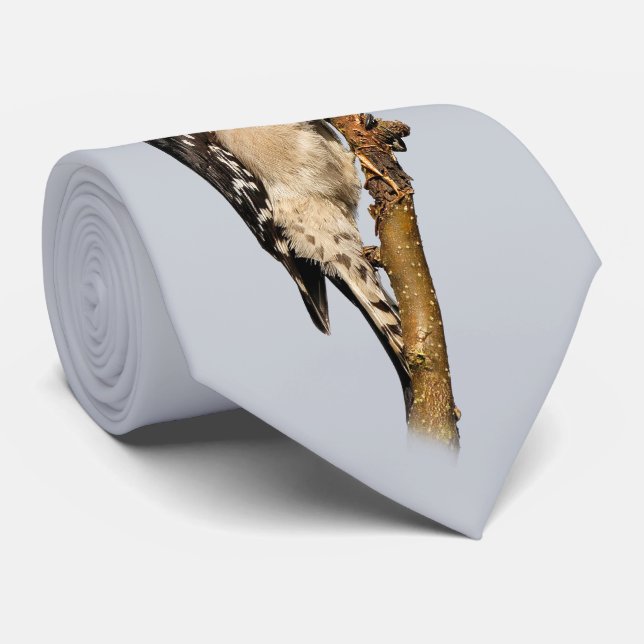 Cute Downy Woodpecker on Fruit Tree Tie (Rolled)