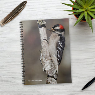 Cute Downy Woodpecker on the Tree Notebook