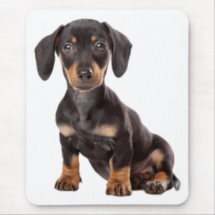 Cute Doxin Puppy Wiener Love Dog Mum Dachshund Mouse Mat
