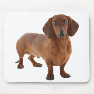 Cute Doxin Wiener Puppy Dog Lover Gift Dachshund Mouse Mat