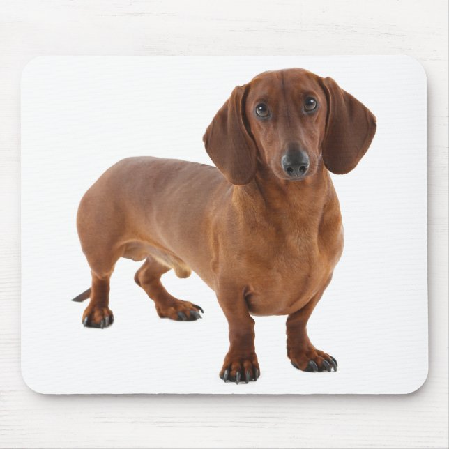 Cute Doxin Wiener Puppy Dog Lover Gift Dachshund Mouse Mat (Front)