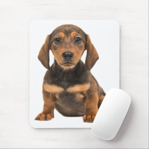 Cute Doxin Wiener Puppy Dog Lover Gift Dachshund Mouse Mat
