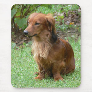 Cute Doxin Wiener Puppy Dog Lover Gift Dachshund Mouse Mat