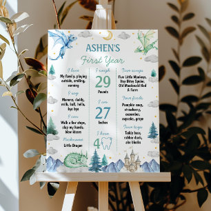 Cute Dragon 1st Birthday Milestone Sign