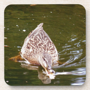 Cute Duck Feeding Coaster