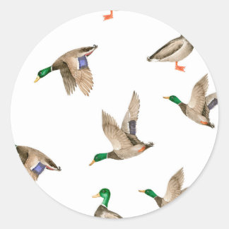 Cute, Duck Invitation Sticker 