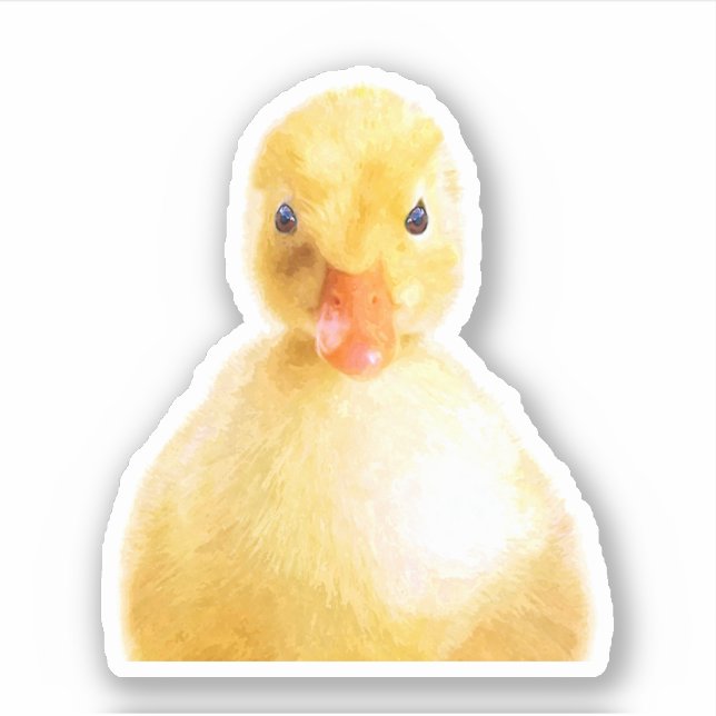 Cute Duckling Portrait (Front)