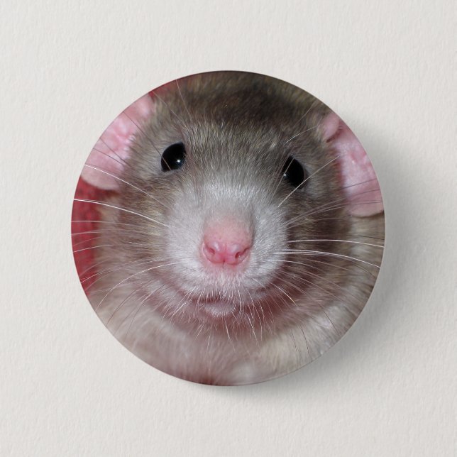 Cute Dumbo Rat 6 Cm Round Badge (Front)