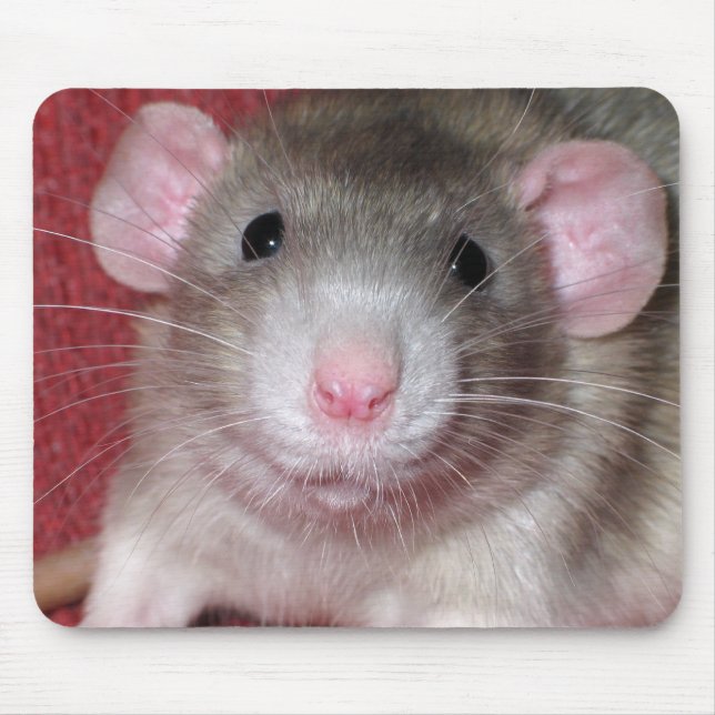 Cute Dumbo Rat Mouse Mat (Front)