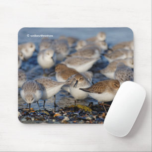 Cute Dunlins Sanderlings Sandpipers at Beach Mouse Mat