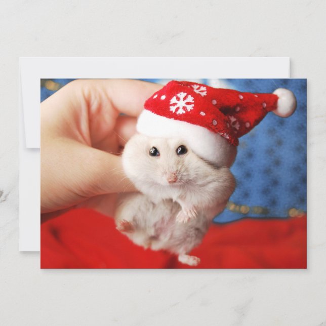 Cute dwarf hamster Tutku with Santa Claus hat Holiday Card (Front)