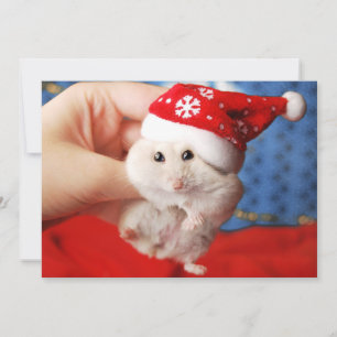 Cute dwarf hamster Tutku with Santa Claus hat Holiday Card
