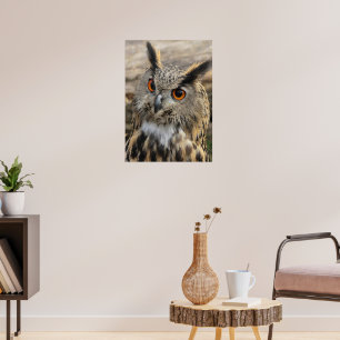 Cute eagle owl poster