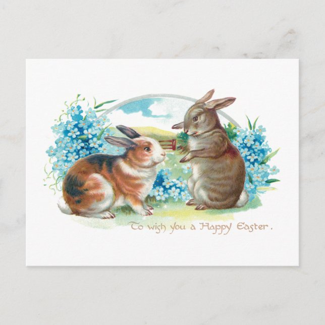 Cute Easter Bunnies and Forget-Me-Nots Postcard (Front)