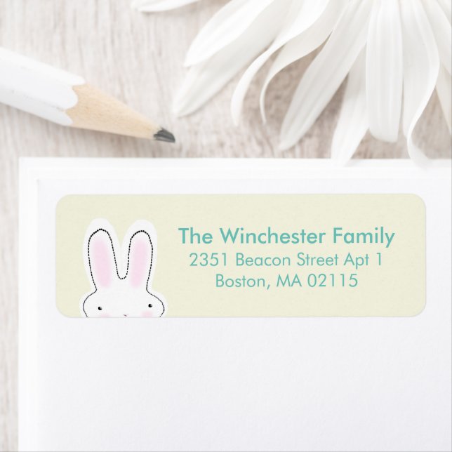 Cute Easter bunny teal cream fun address (Insitu)