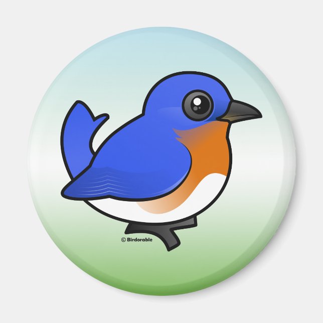 Cute Eastern Bluebird Magnet (Front)