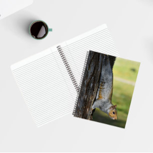 Cute Eastern Grey Squirrel Nature Photo Notebook