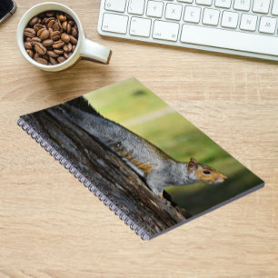 Cute Eastern Grey Squirrel Nature Photo Notebook