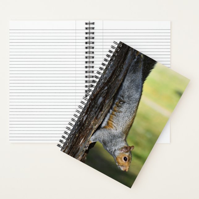 Cute Eastern Grey Squirrel Nature Photo Notebook (Inside)